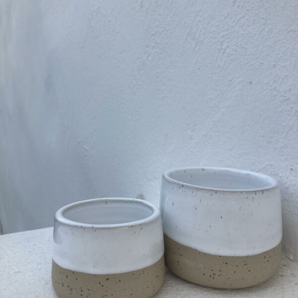 Cups without handle